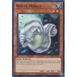 Battles of Legend: Chapter 1 - White Moray