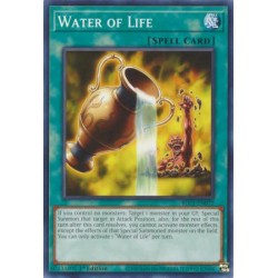 Battles of Legend: Chapter 1 - Water of Life