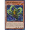 Legendary Duelists Season 3 - Predaplant Drosophyllum Hydra