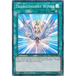 Advent Calendar 2019 - Transcendent Wings