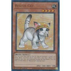 Rarity Collection II - Rescue Cat (Alt. Art)