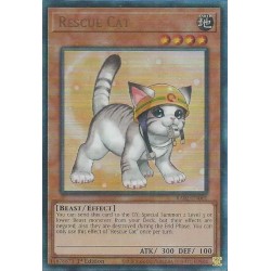 Rarity Collection II - Rescue Cat (Alt. Art)