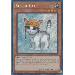 Rarity Collection II - Rescue Cat