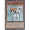 Rarity Collection II - Rescue Cat