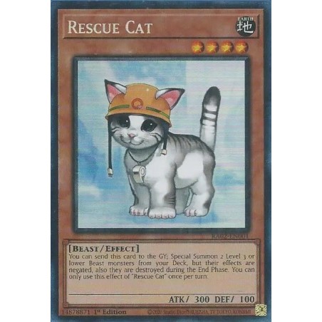 Rarity Collection II - Rescue Cat