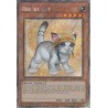 Rarity Collection II - Rescue Cat (Alt. Art)