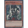 Rarity Collection II - Skull Meister