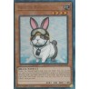 Rarity Collection II - Rescue Rabbit