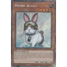 Rarity Collection II - Rescue Rabbit