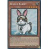 Rarity Collection II - Rescue Rabbit