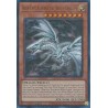 Rarity Collection II - Blue-Eyes Alternative White Dragon