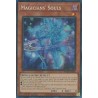 Rarity Collection II - Magicians' Souls