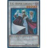 Rarity Collection II - T.G. Hyper Librarian