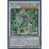 Rarity Collection II - PSY-Framelord Omega