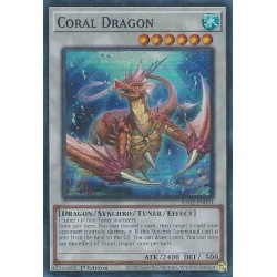 Rarity Collection II - Coral Dragon