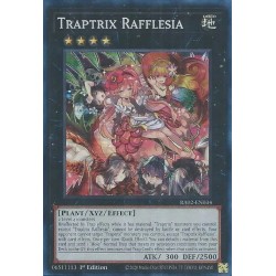 Rarity Collection II - Traptrix Rafflesia