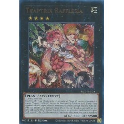 Rarity Collection II - Traptrix Rafflesia