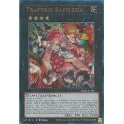 Rarity Collection II - Traptrix Rafflesia