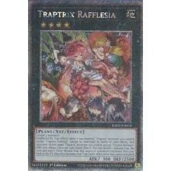 Rarity Collection II - Traptrix Rafflesia