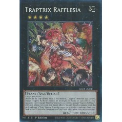 Rarity Collection II - Traptrix Rafflesia