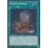 Rarity Collection II - Foolish Burial