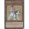 Rarity Collection II - Rescue Cat (Alt. Art)