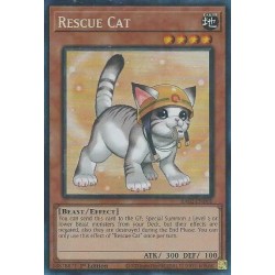 Rarity Collection II - Rescue Cat (Alt. Art)