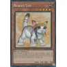 Rarity Collection II - Rescue Cat (Alt. Art)