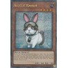 Rarity Collection II - Rescue Rabbit