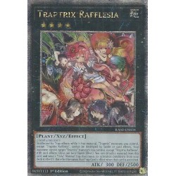 Rarity Collection II - Traptrix Rafflesia