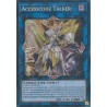 Rarity Collection II - Accesscode Talker