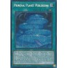 Rarity Collection II - Primeval Planet Perlereino