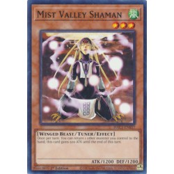 Hidden Arsenal: Chapter 1 - Mist Valley Shaman