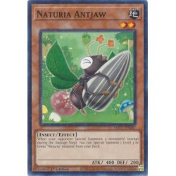 Hidden Arsenal: Chapter 1 - Naturia Antjaw