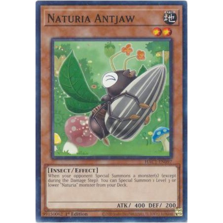 Hidden Arsenal: Chapter 1 - Naturia Antjaw