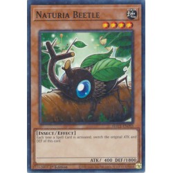 Hidden Arsenal: Chapter 1 - Naturia Beetle