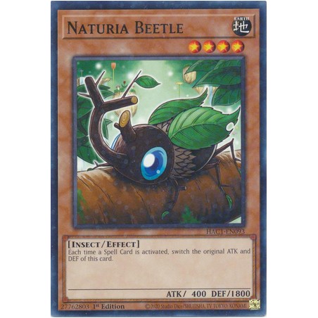 Hidden Arsenal: Chapter 1 - Naturia Beetle