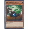 Hidden Arsenal: Chapter 1 - Naturia Beetle