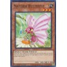 Hidden Arsenal: Chapter 1 - Naturia Butterfly