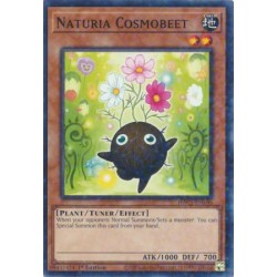 Hidden Arsenal: Chapter 1 - Naturia Cosmobeet