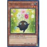 Hidden Arsenal: Chapter 1 - Naturia Cosmobeet