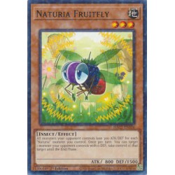 Hidden Arsenal: Chapter 1 - Naturia Fruitfly