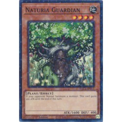 Hidden Arsenal: Chapter 1 - Naturia Guardian