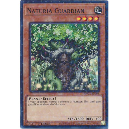 Hidden Arsenal: Chapter 1 - Naturia Guardian