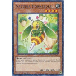 Hidden Arsenal: Chapter 1 - Naturia Horneedle