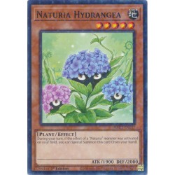 Hidden Arsenal: Chapter 1 - Naturia Hydrangea