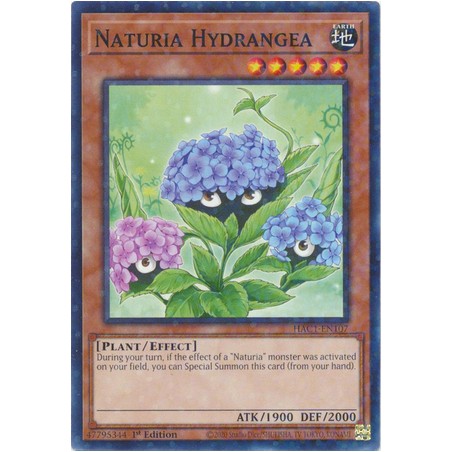 Hidden Arsenal: Chapter 1 - Naturia Hydrangea