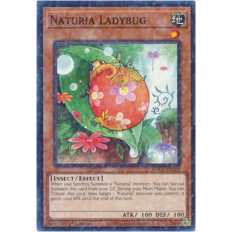 Hidden Arsenal: Chapter 1 - Naturia Ladybug