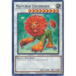 Hidden Arsenal: Chapter 1 - Naturia Leodrake