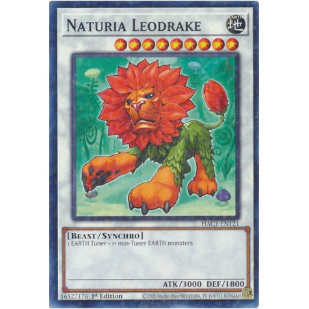 Hidden Arsenal: Chapter 1 - Naturia Leodrake